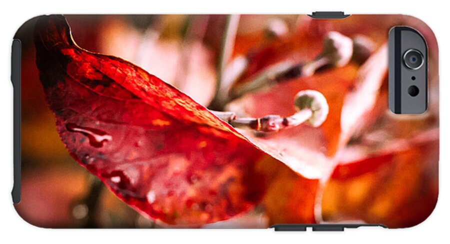 Red leaves  - Phone Case