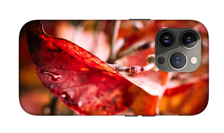 Red leaves  - Phone Case