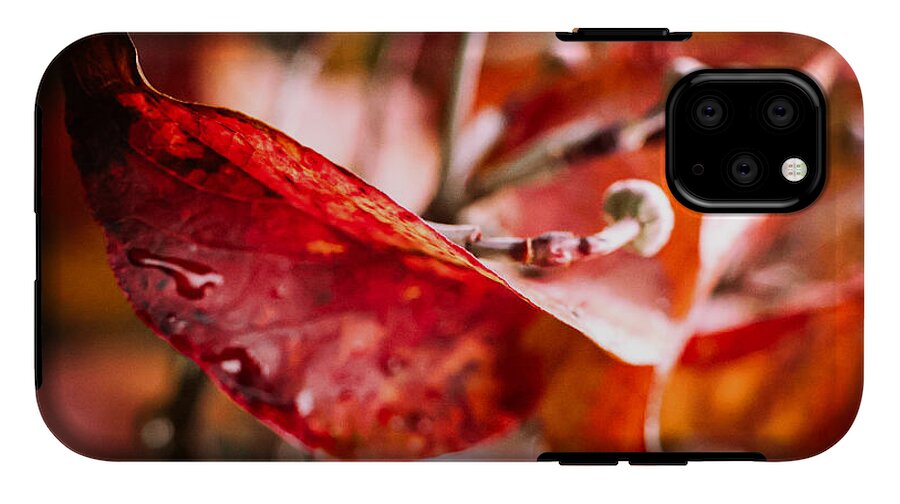 Red leaves  - Phone Case
