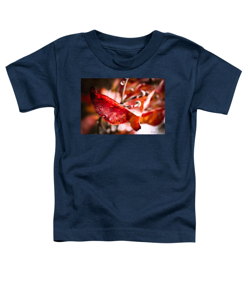Red leaves  - Toddler T-Shirt