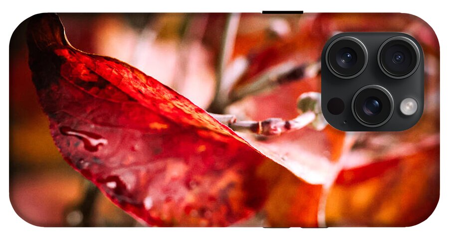 Red leaves  - Phone Case