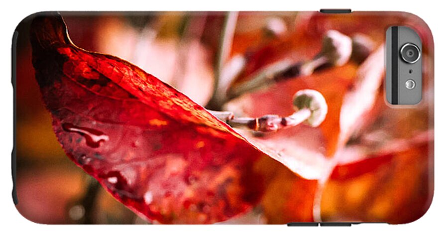 Red leaves  - Phone Case
