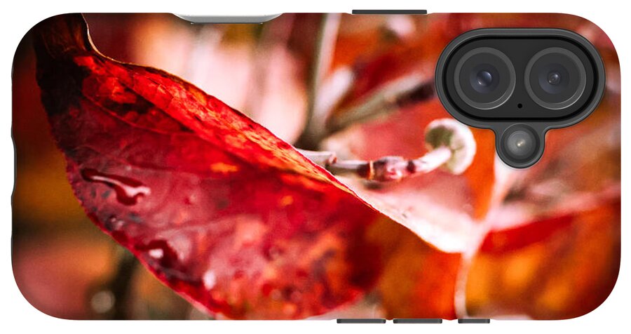 Red leaves  - Phone Case