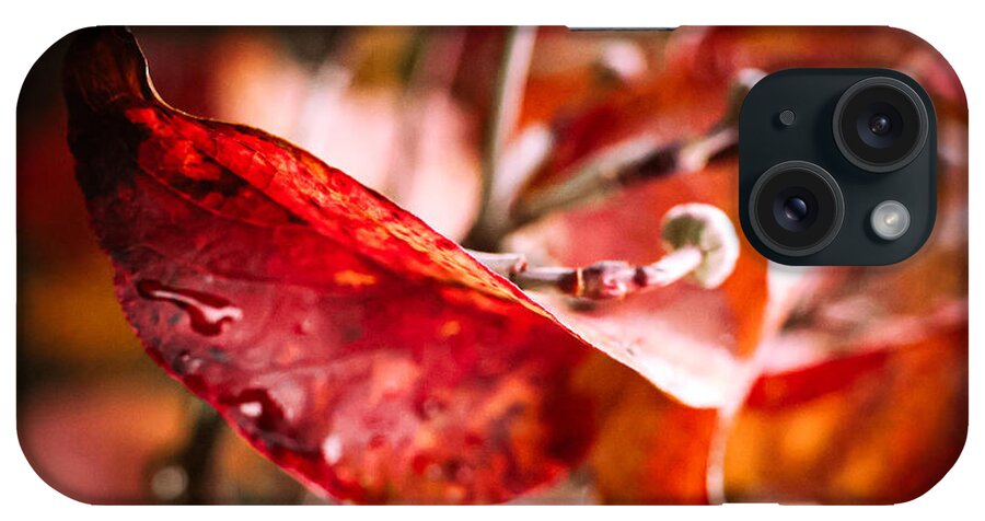 Red leaves  - Phone Case