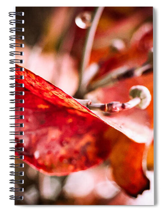 Red leaves  - Spiral Notebook