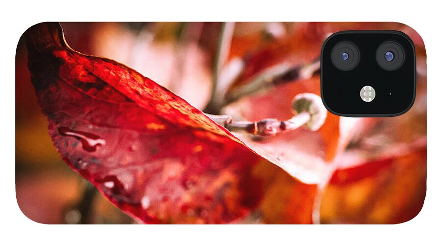 Red leaves  - Phone Case
