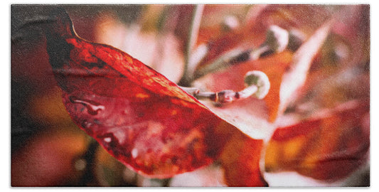 Red leaves  - Beach Towel
