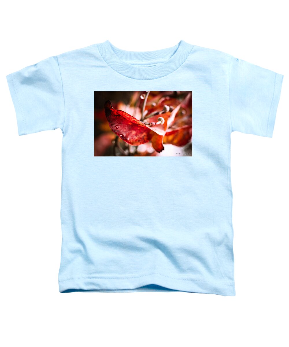 Red leaves  - Toddler T-Shirt