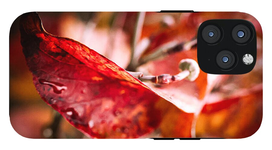 Red leaves  - Phone Case