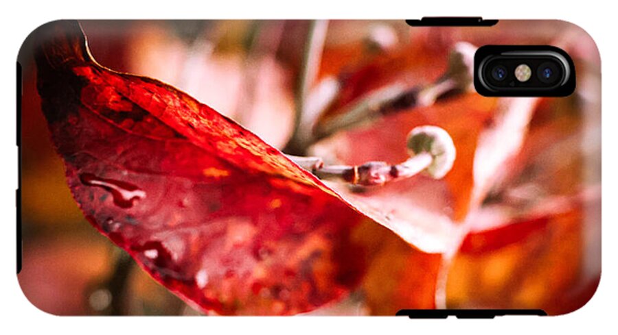 Red leaves  - Phone Case