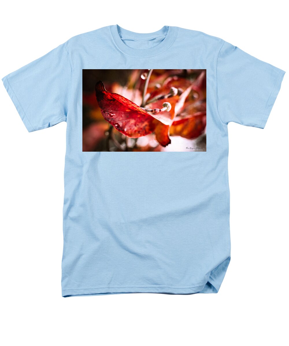 Red leaves  - Men's T-Shirt  (Regular Fit)