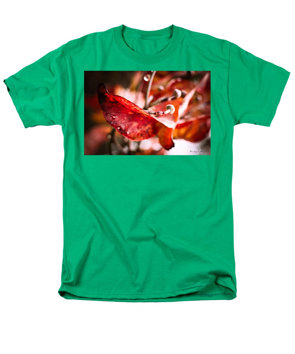 Red leaves  - Men's T-Shirt  (Regular Fit)