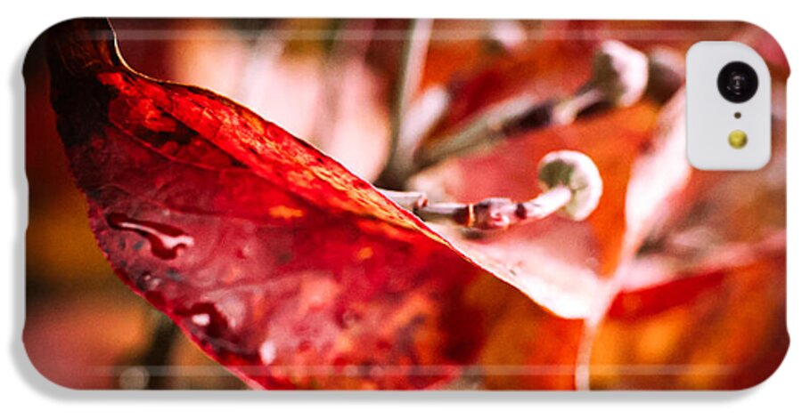 Red leaves  - Phone Case