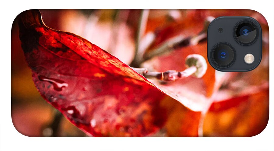 Red leaves  - Phone Case