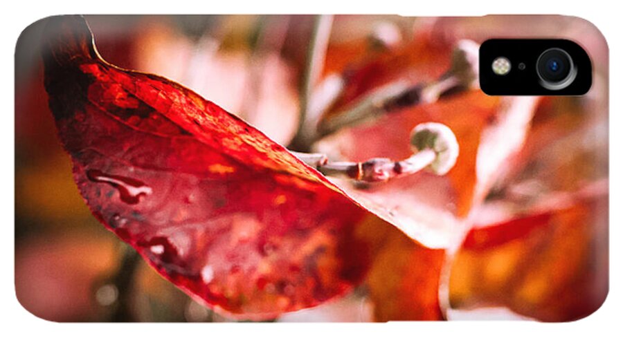 Red leaves  - Phone Case