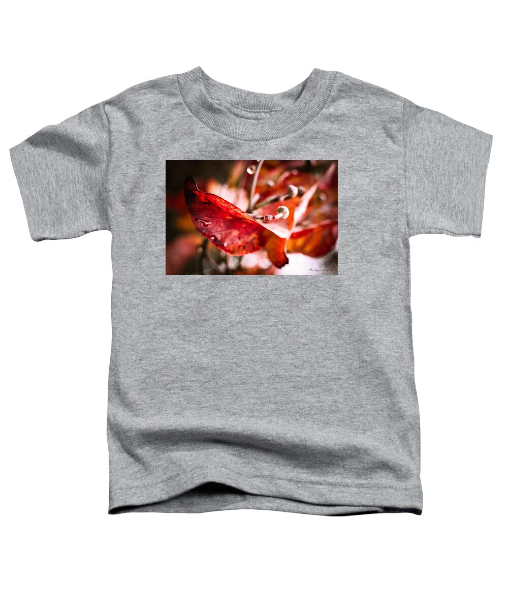Red leaves  - Toddler T-Shirt