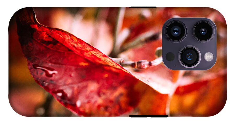 Red leaves  - Phone Case