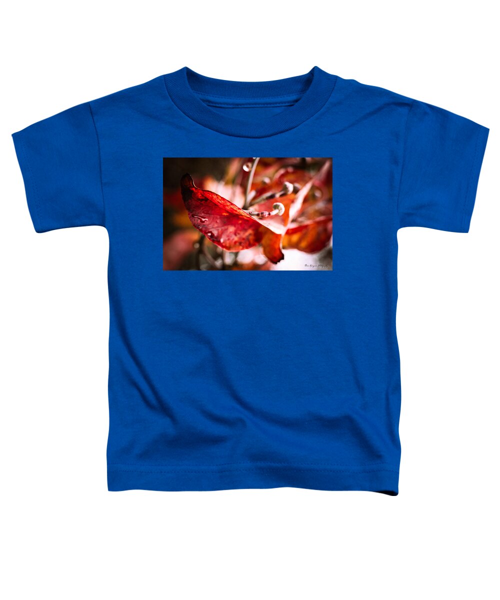 Red leaves  - Toddler T-Shirt