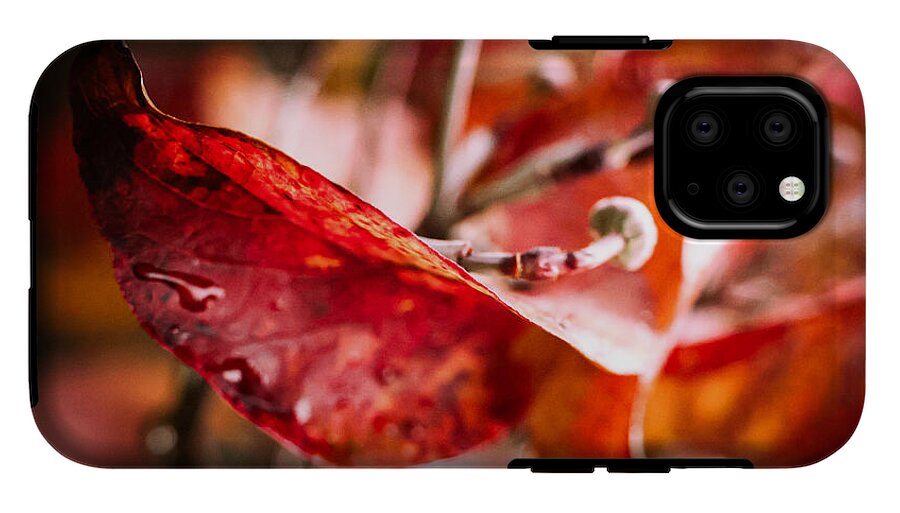 Red leaves  - Phone Case