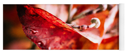Red leaves  - Yoga Mat