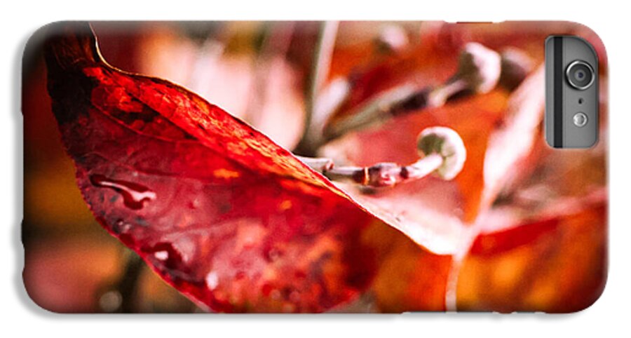 Red leaves  - Phone Case