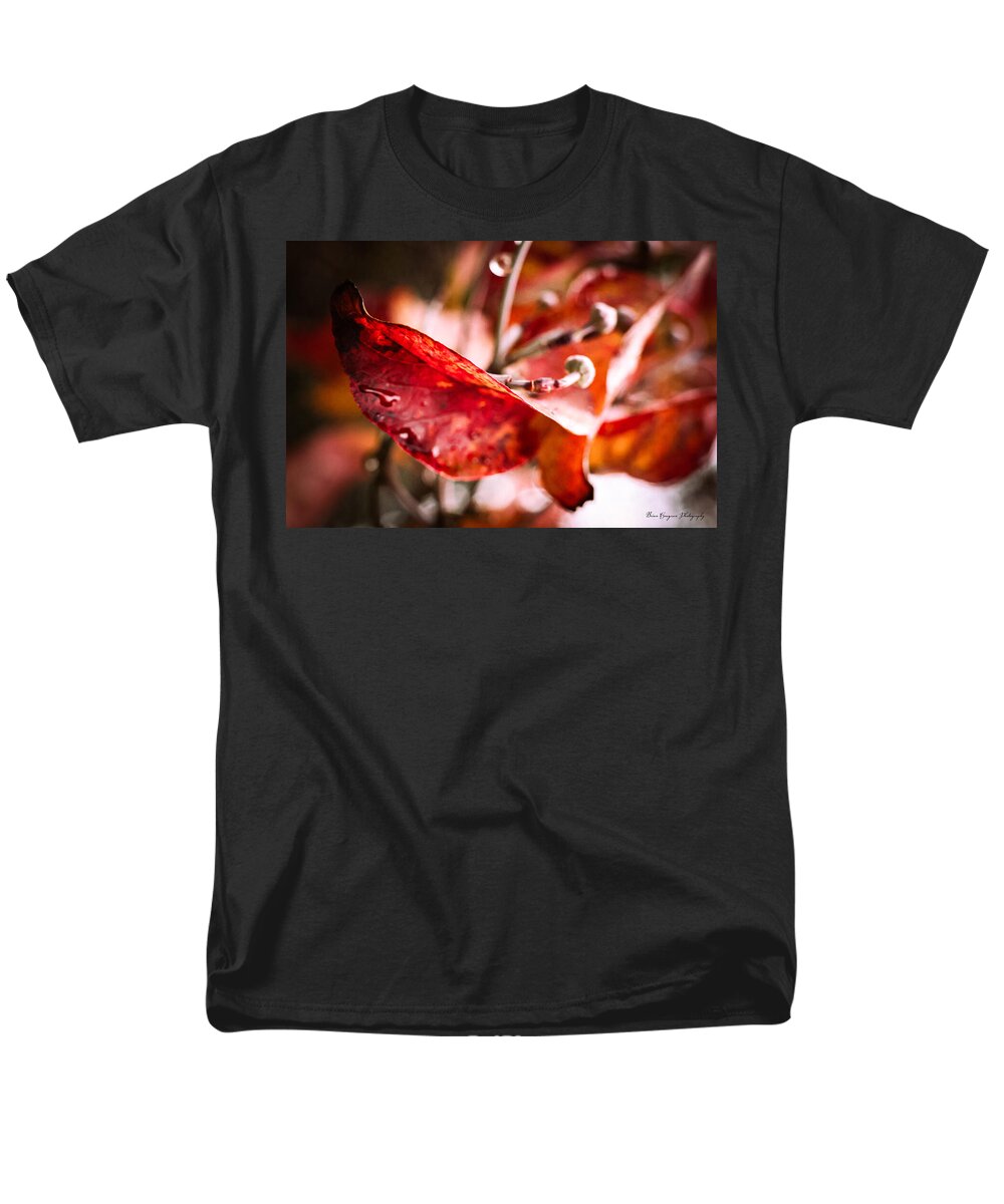 Red leaves  - Men's T-Shirt  (Regular Fit)