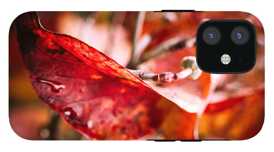Red leaves  - Phone Case