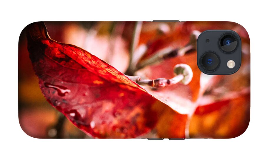 Red leaves  - Phone Case