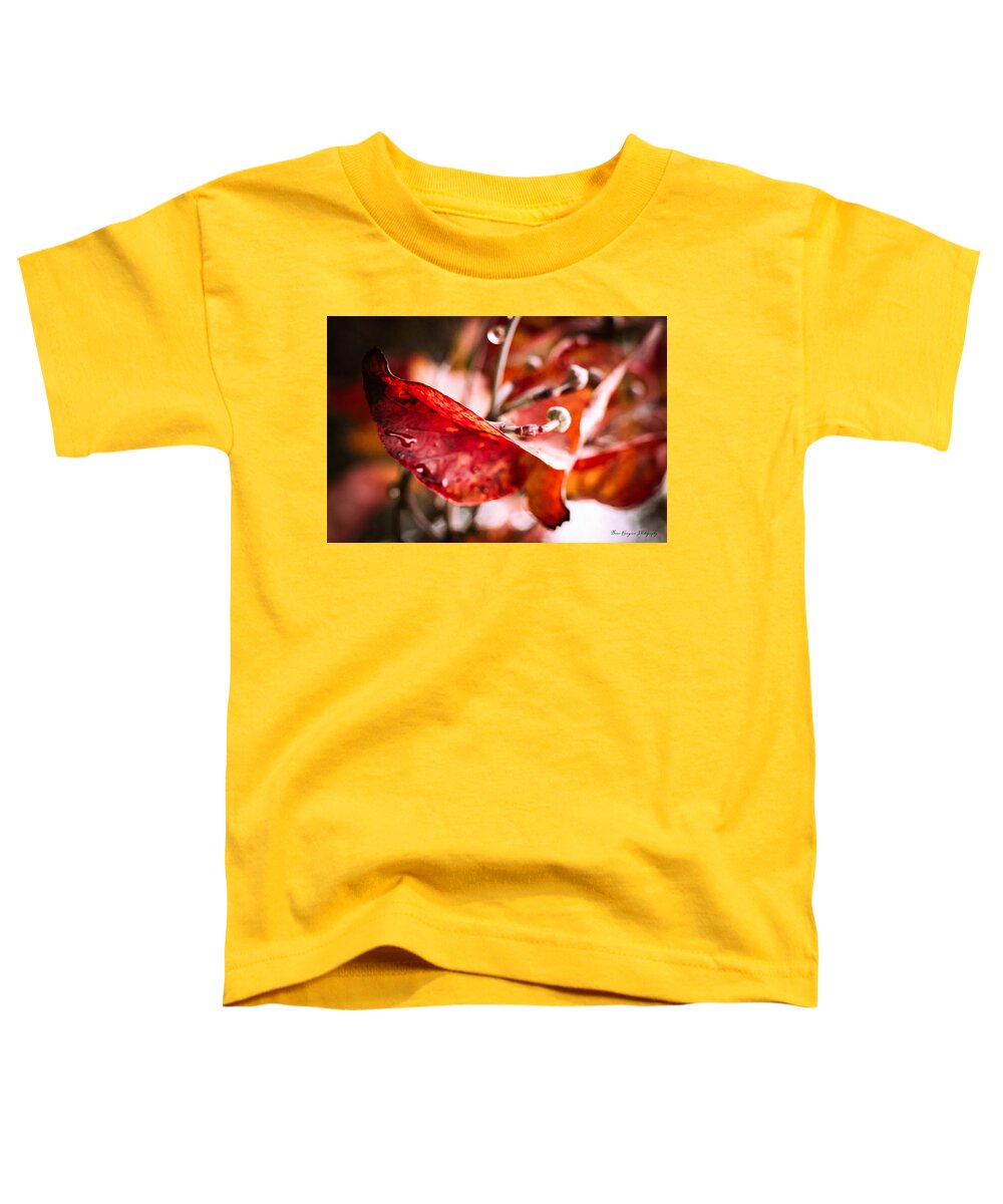 Red leaves  - Toddler T-Shirt