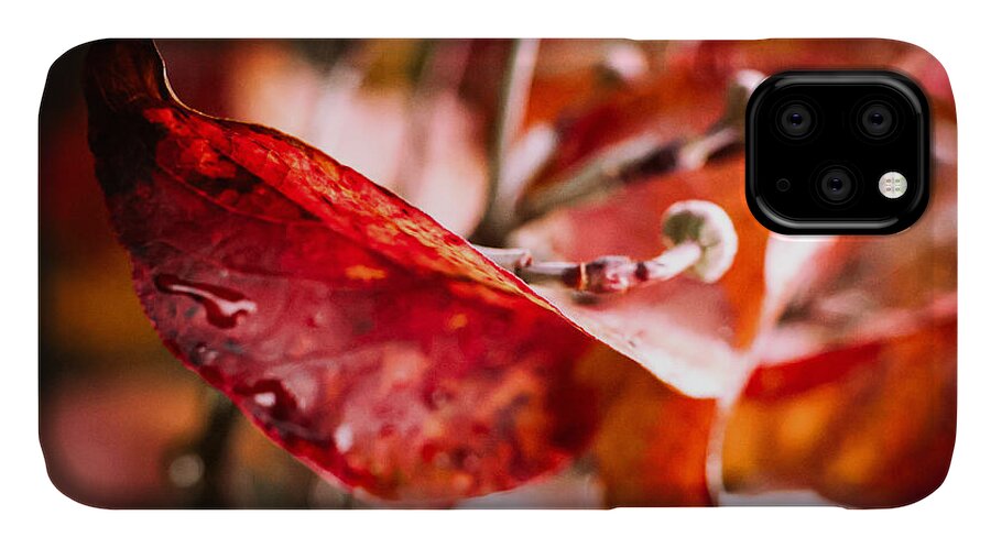 Red leaves  - Phone Case
