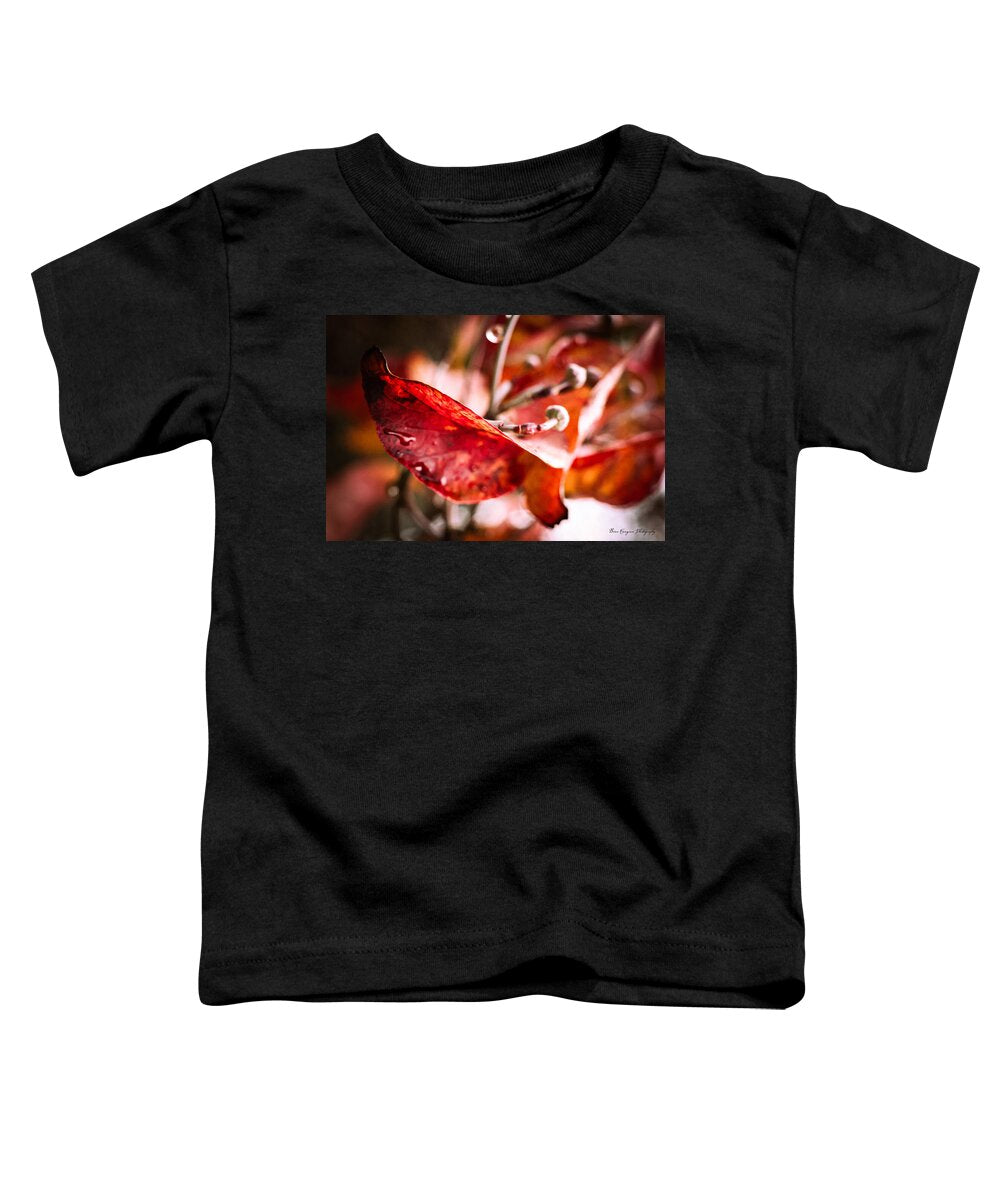 Red leaves  - Toddler T-Shirt