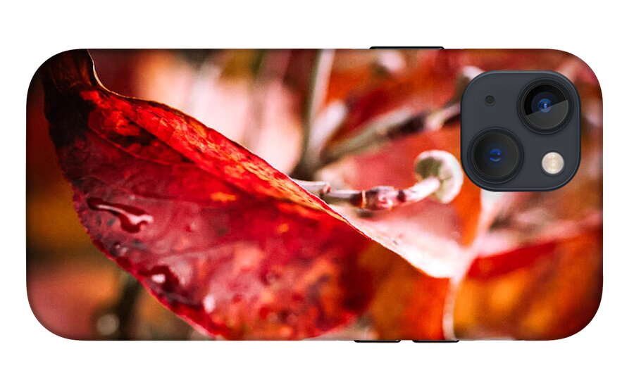 Red leaves  - Phone Case