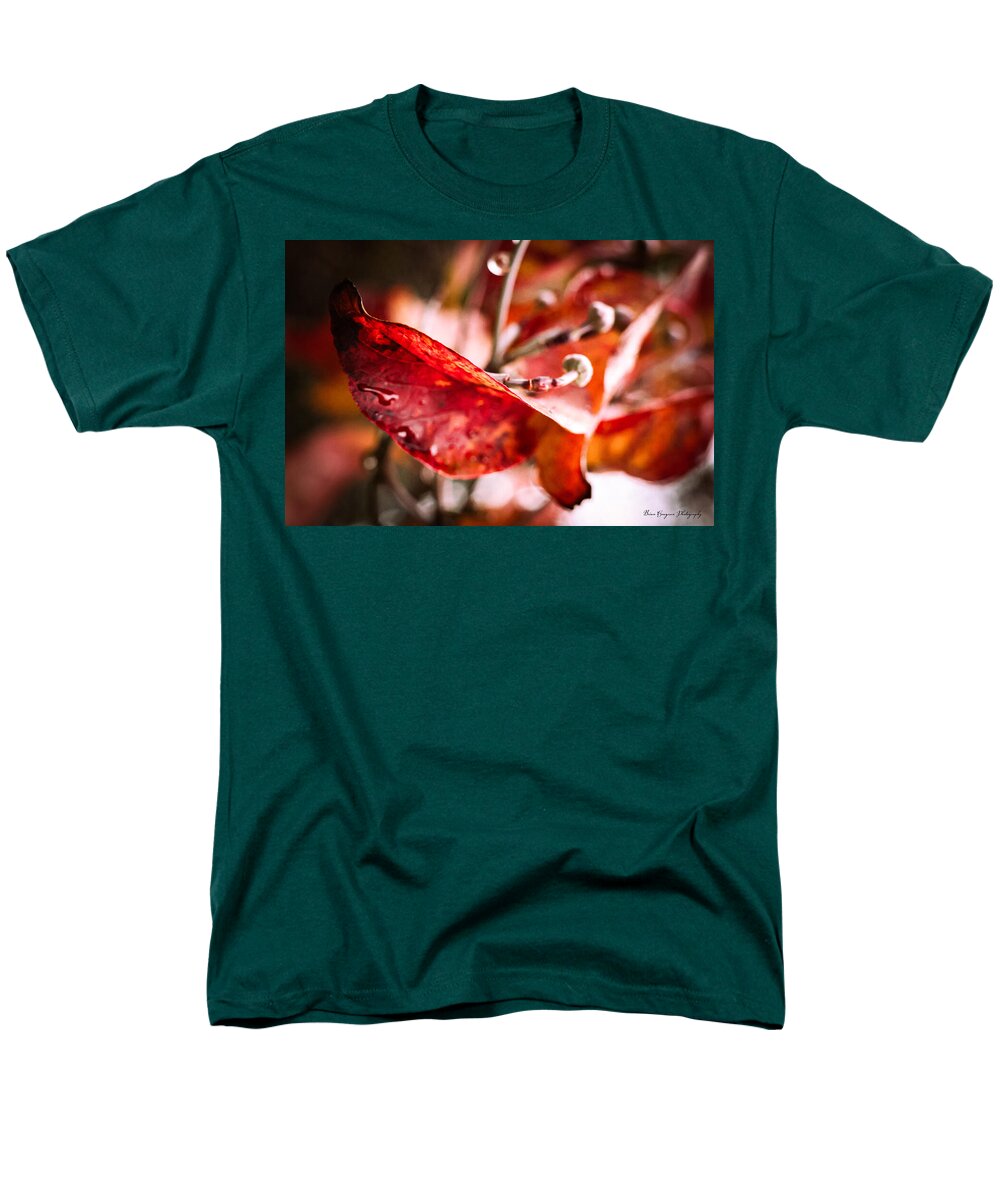 Red leaves  - Men's T-Shirt  (Regular Fit)