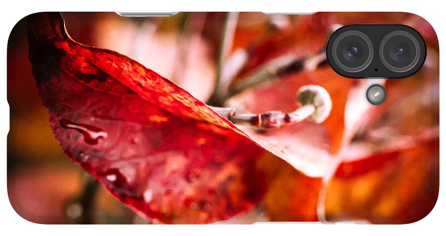 Red leaves  - Phone Case