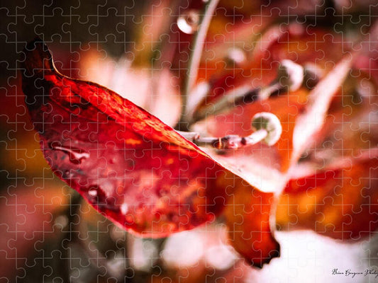 Red leaves  - Puzzle