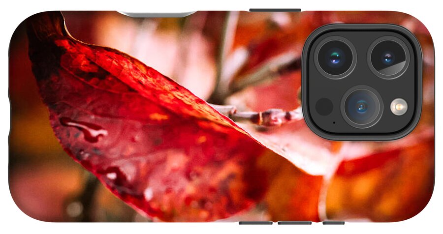 Red leaves  - Phone Case