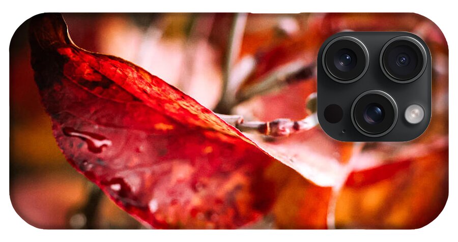 Red leaves  - Phone Case