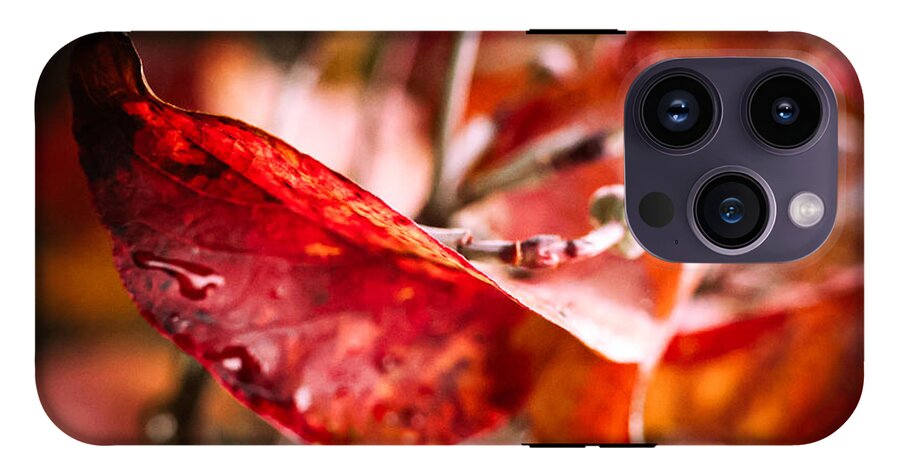 Red leaves  - Phone Case