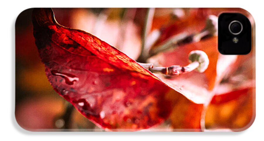 Red leaves  - Phone Case