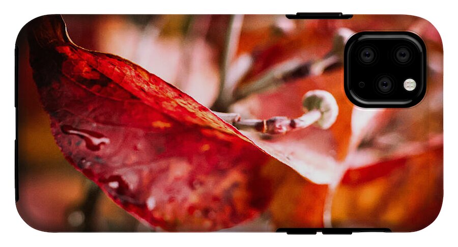 Red leaves  - Phone Case