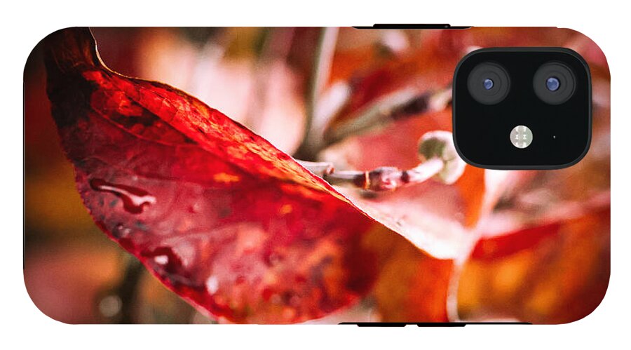 Red leaves  - Phone Case