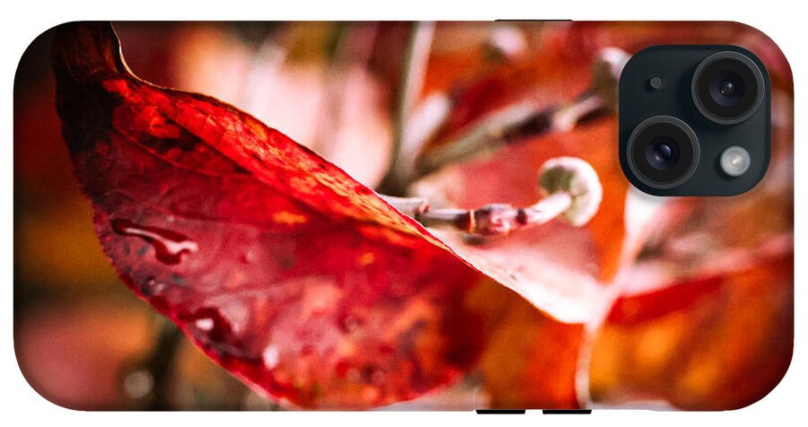Red leaves  - Phone Case