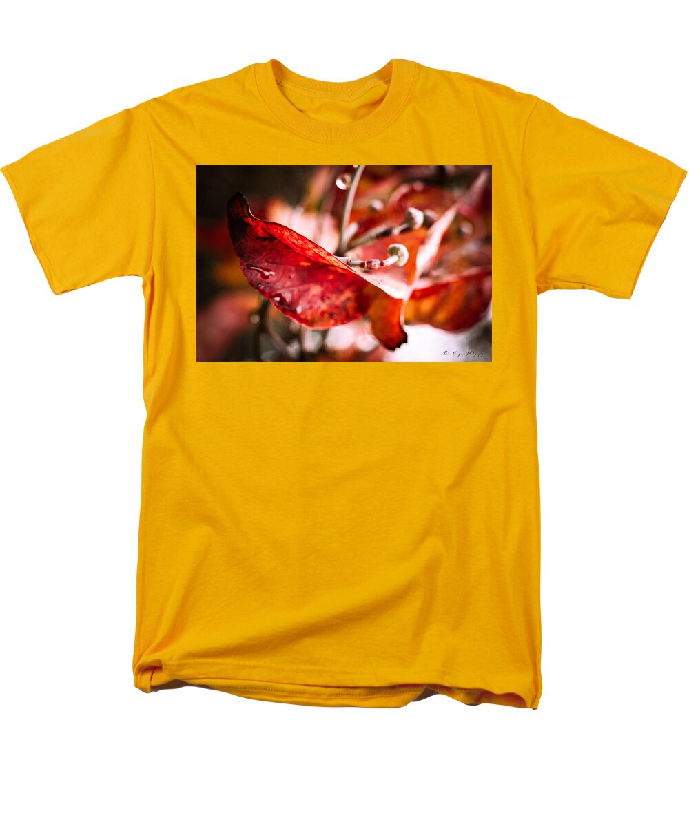 Red leaves  - Men's T-Shirt  (Regular Fit)