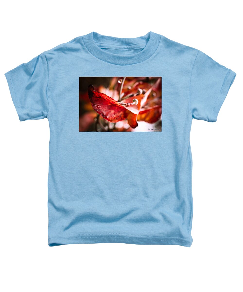 Red leaves  - Toddler T-Shirt
