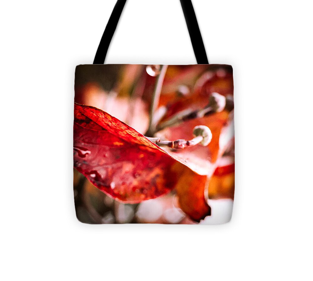 Red leaves  - Tote Bag