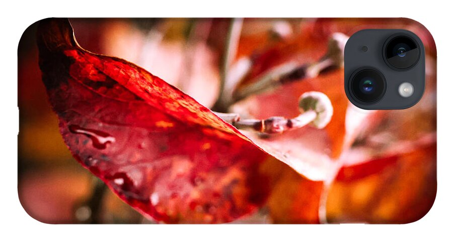 Red leaves  - Phone Case
