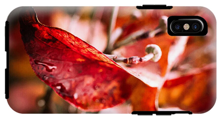 Red leaves  - Phone Case