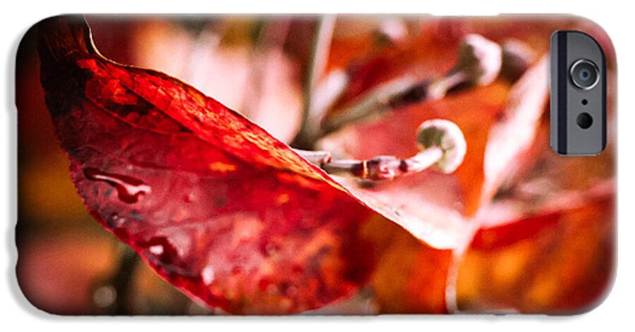 Red leaves  - Phone Case
