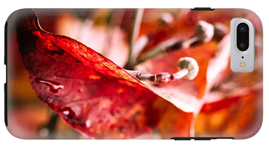 Red leaves  - Phone Case