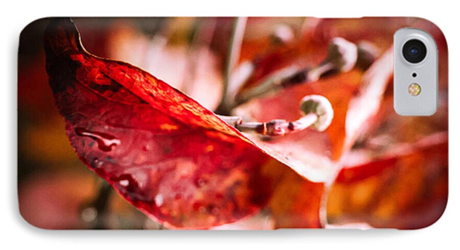 Red leaves  - Phone Case
